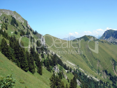 Swiss Alps by summer