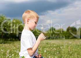 litlle boy with dandelion