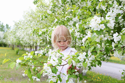 little girl in spring park