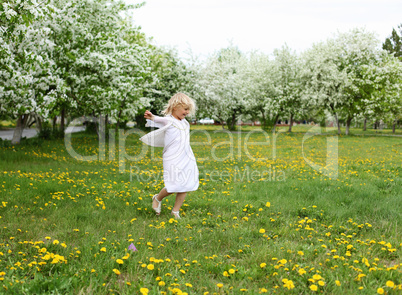 little girl in spring park