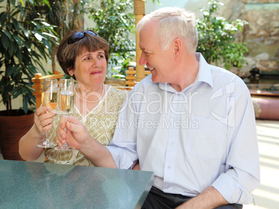 senior couple drinking champagne