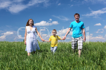 family with son on the meadow