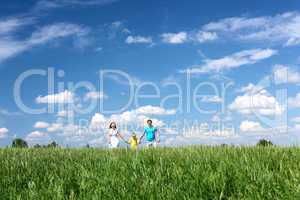 family with son on the meadow