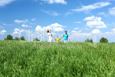 family with son on the meadow