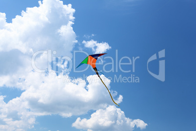 wind kite in the sky