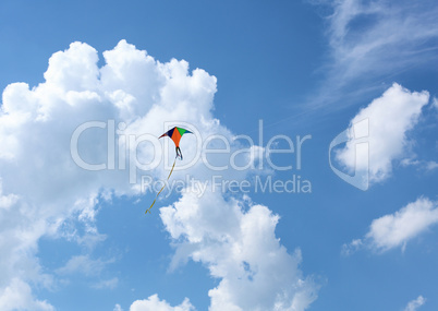 wind kite in the sky