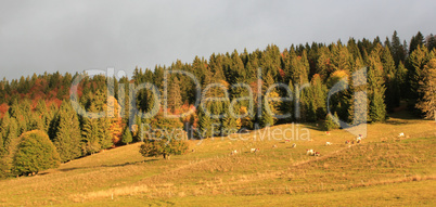 Autumn landscape