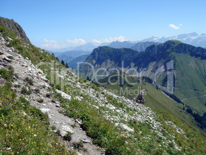 Swiss Alps by summer