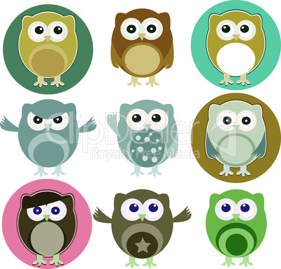 Vector illustration of colorful owls with nine color