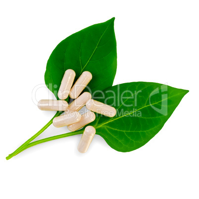 Capsules beige on two green leaves