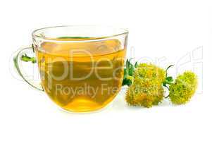 Herbal Tea and Flowers Rhodiola rosea