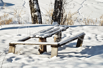 Table and bench in winter forest