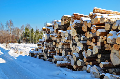 Timber pile in the snow