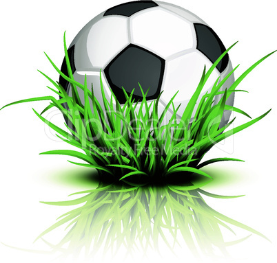 Soccer ball on reflecting grass