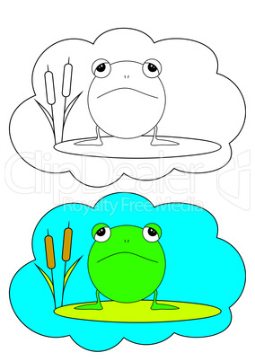 The picture for coloring. Frog.
