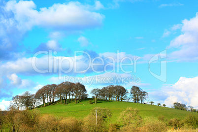 Beautiful Scottish landscape with hills and trees