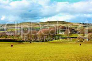 Beautiful Spring landscape,  Scotland