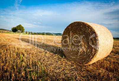 Hay Bale on a harvested Field