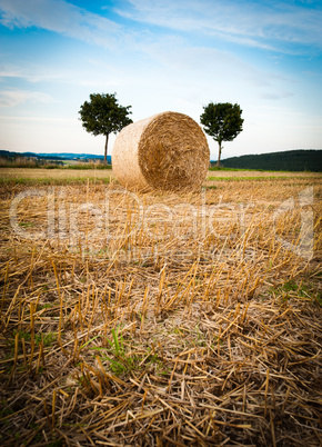 Hay Bale and Trees
