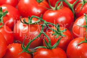 Red tomato food