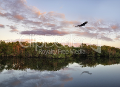 Sunset On The River