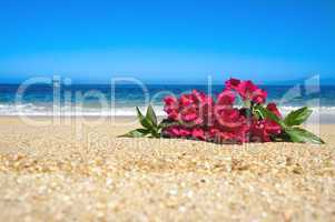 Tropical Beach Flowers