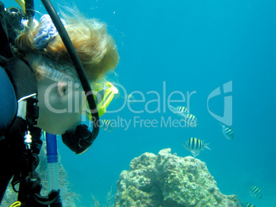 Scuba diver and coral reef