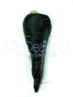 fresh black carrots