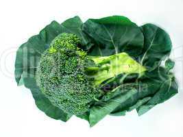 broccoli and Leaf