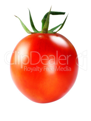 Fresh Red tomatoes