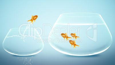 goldfish jumping into bigger fishbowl