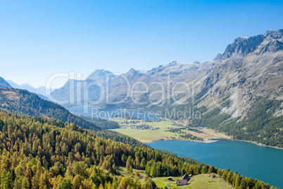 Swiss Alpine Panorama