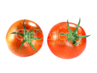 Fresh Red tomatoes