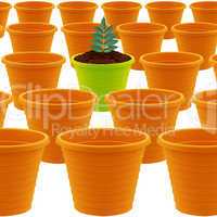 plastic garden pot