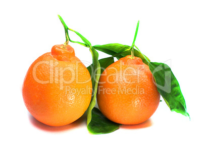 Fresh orange