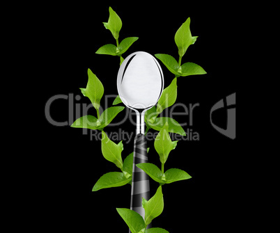 green leaves around spoon