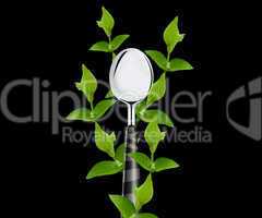 green leaves around spoon
