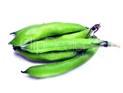 bunch of broad beans