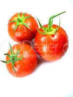 Fresh Red tomatoes