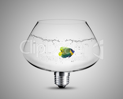 light bulb concept