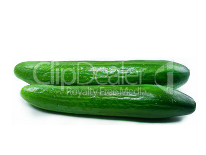 Fresh Cucumber