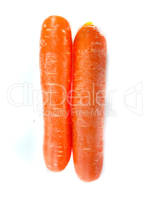 fresh orange carrot