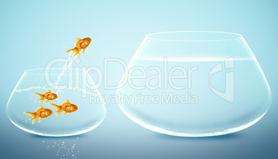 goldfish  jumping to Big bowl
