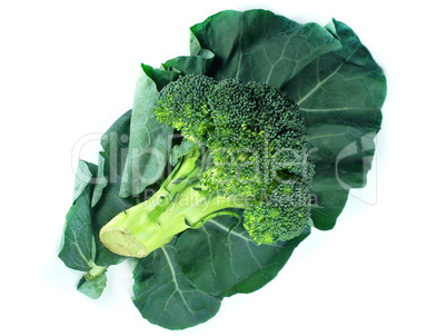 broccoli and Leaf