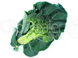 broccoli and Leaf