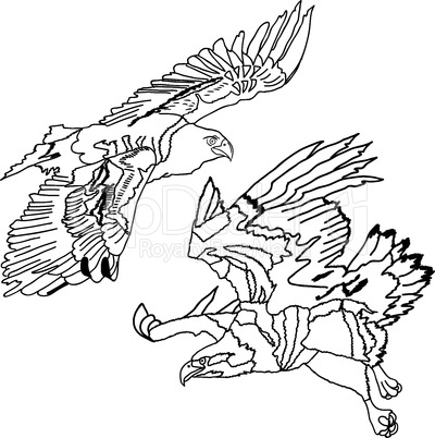 Eagles symbols and tattoo, vector illustration.