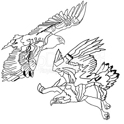 Eagles symbols and tattoo, vector illustration.