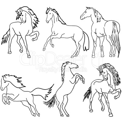 Vector set. Black horse silhouette isolated on white for design.