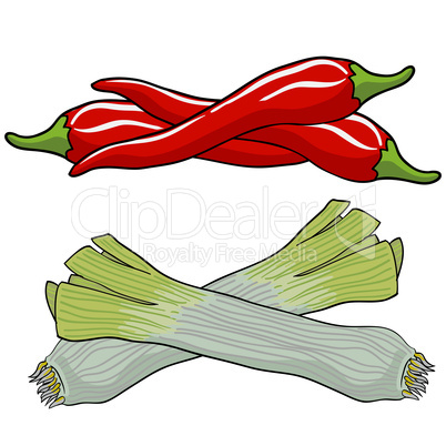 leek and red pepper, vector illustration.