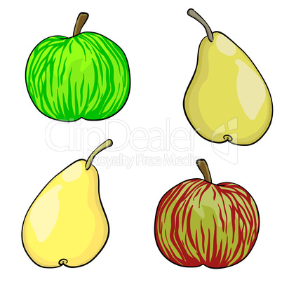 apple and pear fruit set of vector